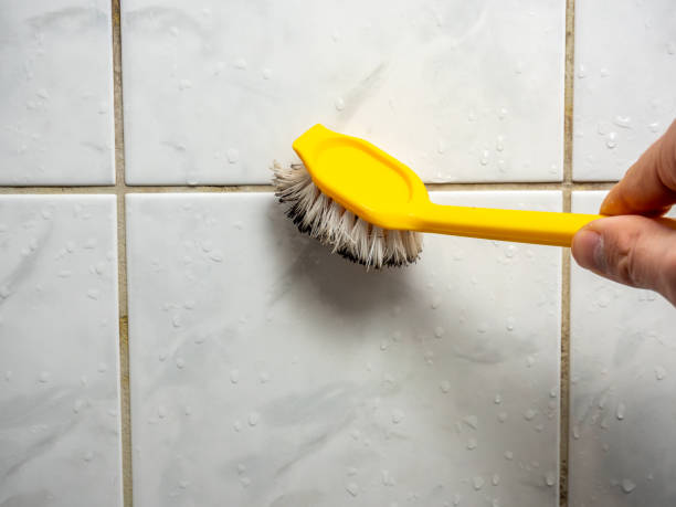 Certified Mold Removal in Vernal, UT