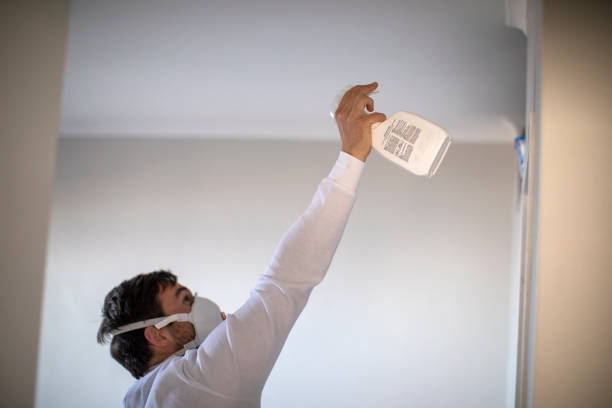 Best Office Mold Removal Services  in Vernal, UT